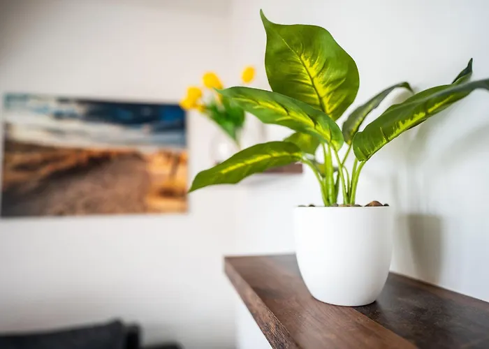 Claras Gartenblick *